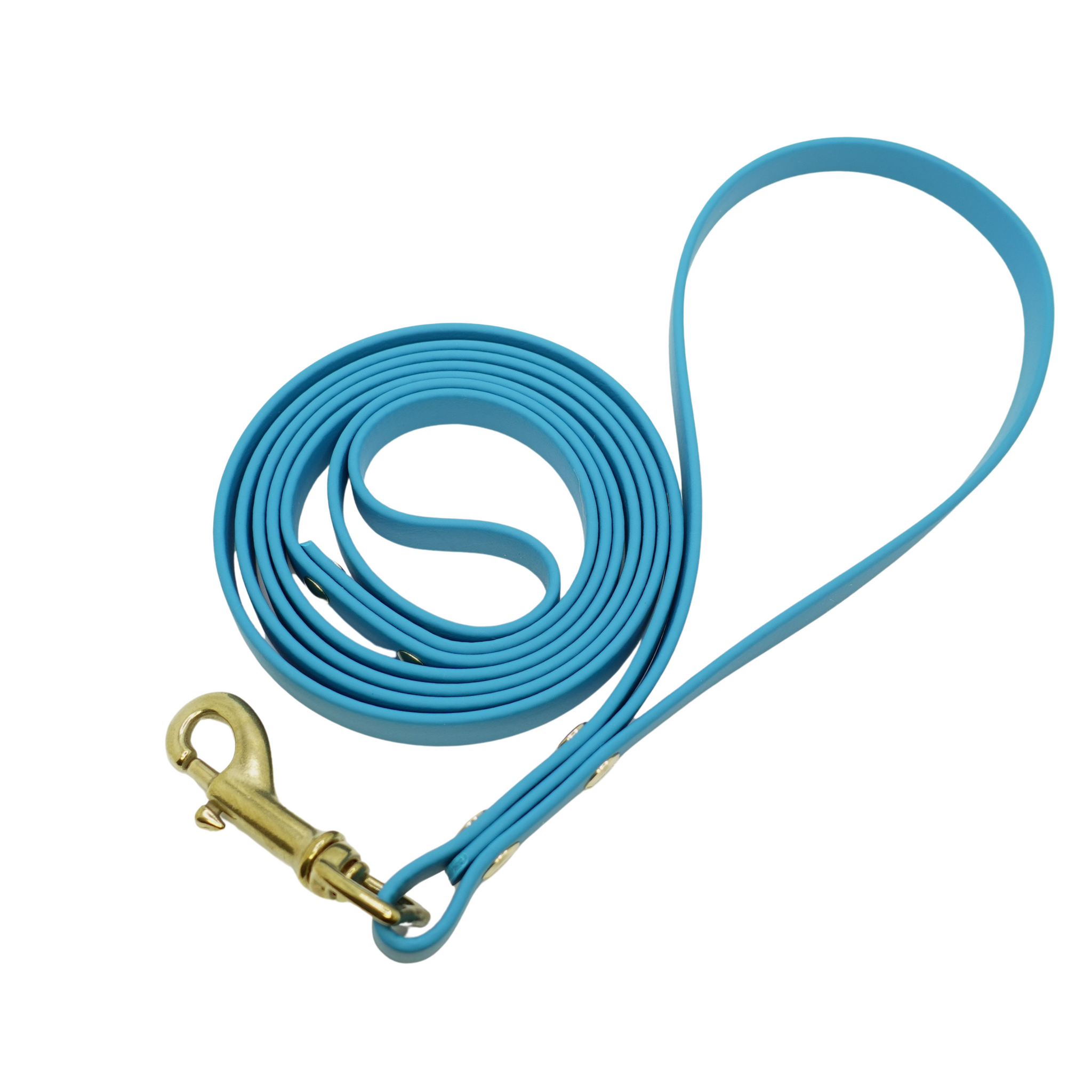 Crossover Companion Dog Leash